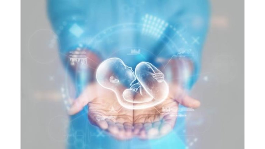 IVF Treatment in India: How Much Does it Cost